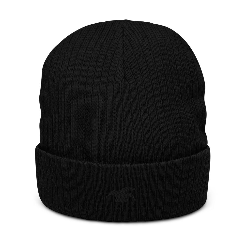 RG Recycled Jester Beanie