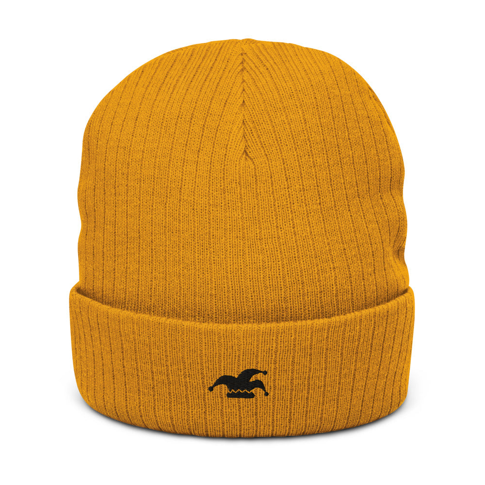 RG Recycled Jester Beanie