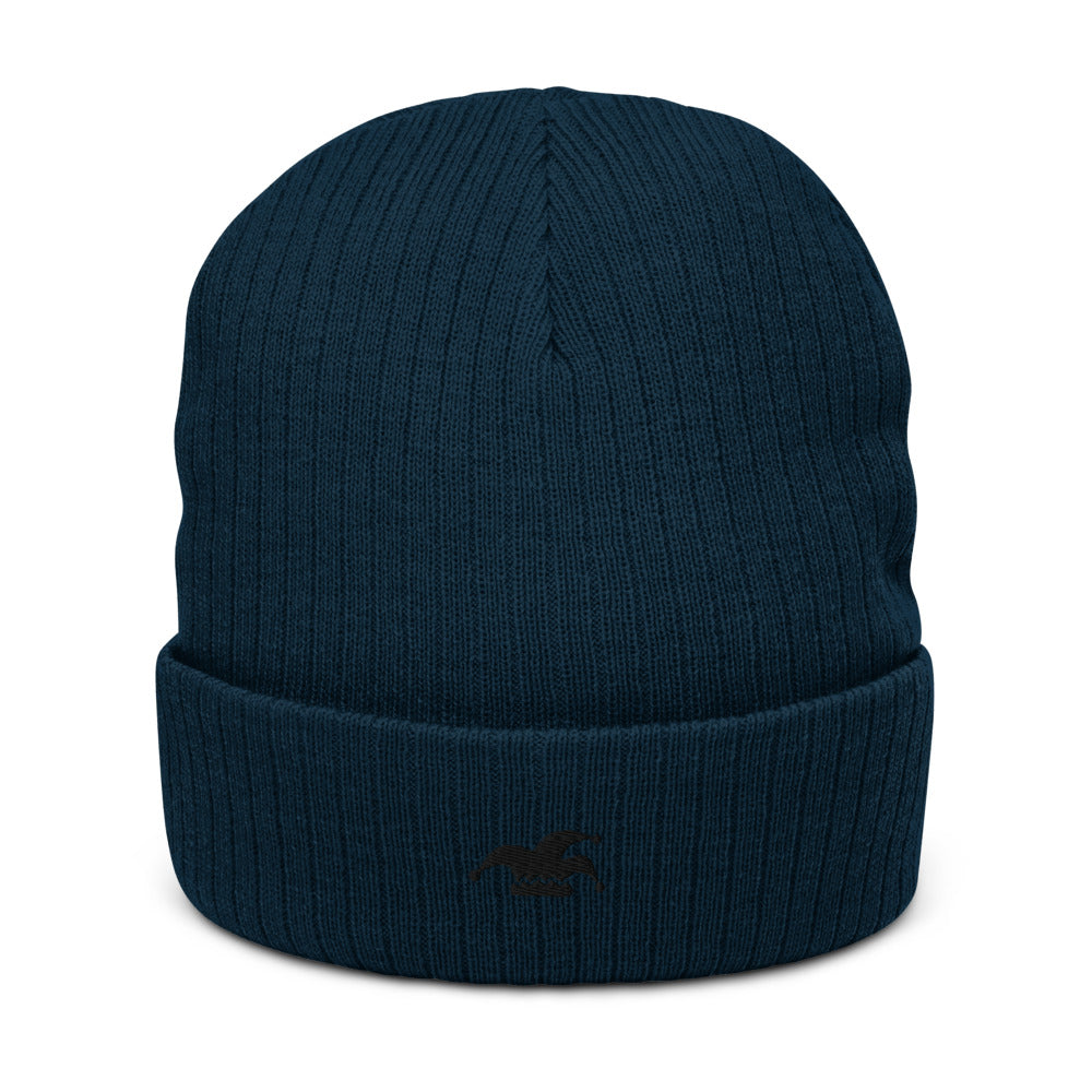 RG Recycled Jester Beanie